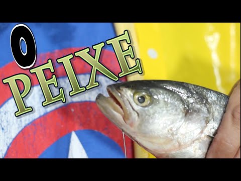 O peixe