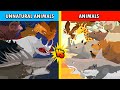 Unnatural habitat animals vs animals  unnatural habitat animals animation