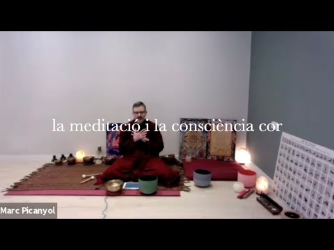 Vídeo: Com Conduir La Meditació "Que Tots Els éssers Sensibles Siguin Feliços!"