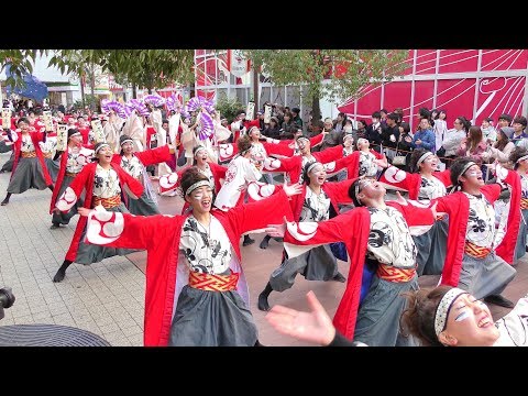 「 四季舞 」四日市よさこい やったろ舞2018【ふれあいモール】