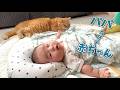 添い寝相手が赤ちゃんに変わっても気にしない猫が可愛すぎる!