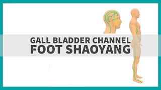 TCM Anatomy: The Gall Bladder Channel of Foot Shaoyang