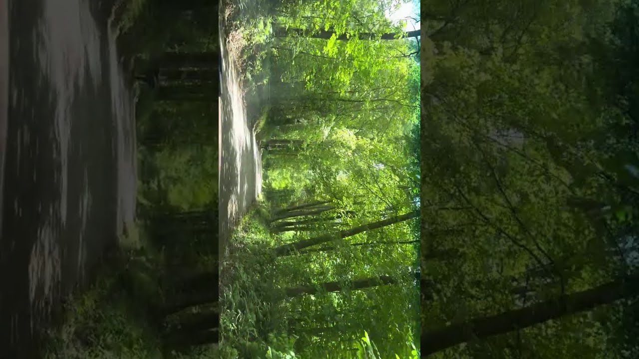 A neat little drive through Boyers Pa