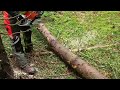 www.wald-arbeit-sicherheit.de 🪚🪓🪵