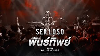 พันธ์ทิพย์ - SEK LOSO | Mr.FOX Live House