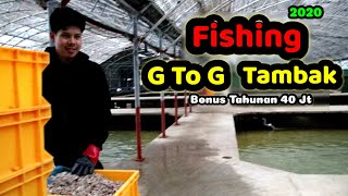 Fishing Korea - Tambak Kerja Santai