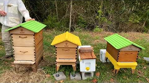 Spring hive managment - Q&A with Cedar Anderson & Mirabai Nicholson Mc-Kellar