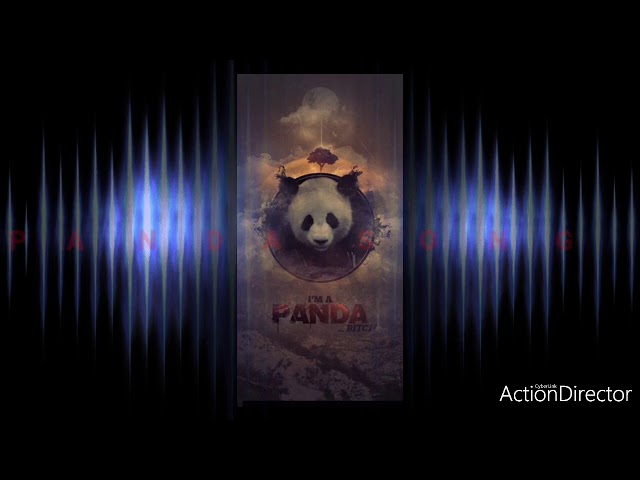 The desiigner panda song .......