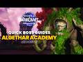 Quick Boss Guides for Algeth'ar Academy | Midnight Season 1