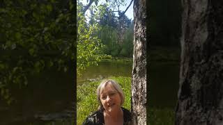 Stilvalmoment - Tus Gerhees Ham - gedicht Toon Hermans