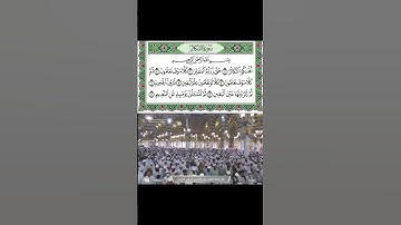 سورة التكاثر للشيخ عبدالمحسن القاسم