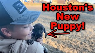 Houston's New PUPPY!