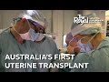 An amazing gift uterine transplants to be performed at the royal