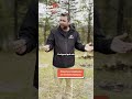 Des bruits dans la forêts? C'est pas ça qui manque!