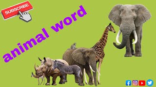 Animals Of The World With Calming Music 2021