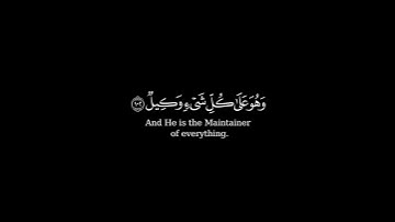 كرومة شاشة سوداء بصوت الشيخ #عادل_ريان#سورة_الأنعام
