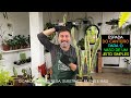 Como plantar Espada com TUDO reciclado (Sansevieria)