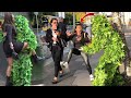 Top Funniest Reactions Of Bushman Prank 2025 | bushman pranks