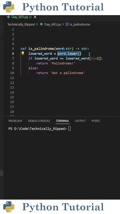 Finding Palindromes With Python | Python Tutorial - YouTube
