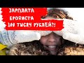 Профессия бровист. Доход бровиста. Расходы бровиста.