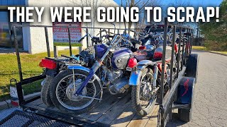 My Biggest Motorcycle Purchase Yet! I Bought 8 Bikes!