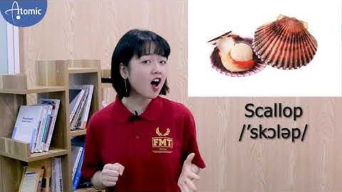 Cách gọi tên các loại hải sản bằng tiếng anh