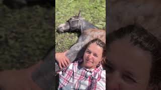 #новинка #horse #арабскиелошади #лошади #моялошадь #equestrian #лошадки #shortvideo