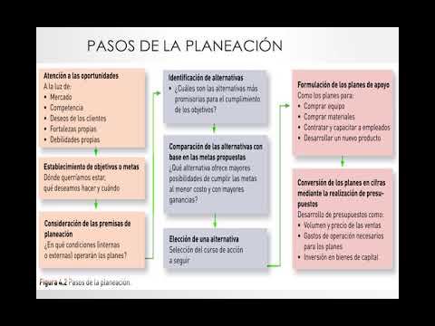 Video: ¿Cuántos pasos de la planificación del alta?