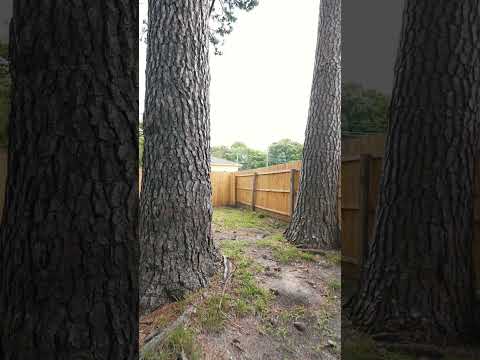 2404 Arkansas Ave Unit B, Norfolk, VA home video tour