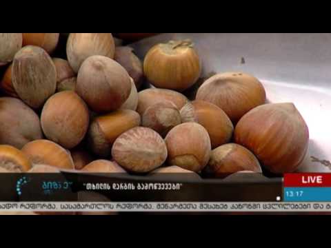 არის თუ არა სახელმწიფო კერძო ლაბორატორიების კონკურენტი - ლევან კალანდაძე, დავით გალეგაშვილი