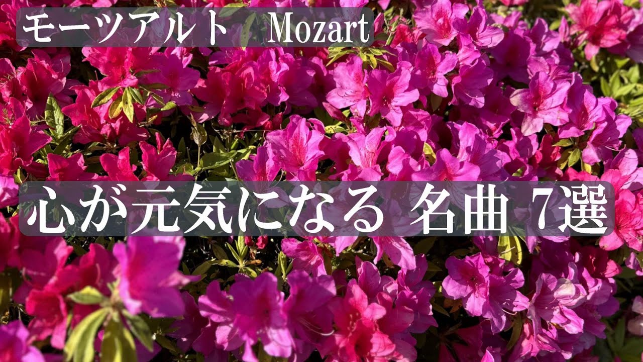 モーツアルト　心が元気になる名曲7選