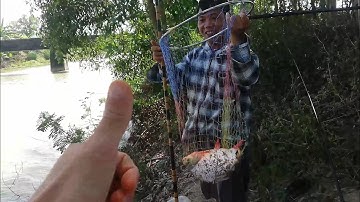 Câu đài tự nhiên .câu cá thác lác và nỗi buồn lớn nhất của các cần thủ.