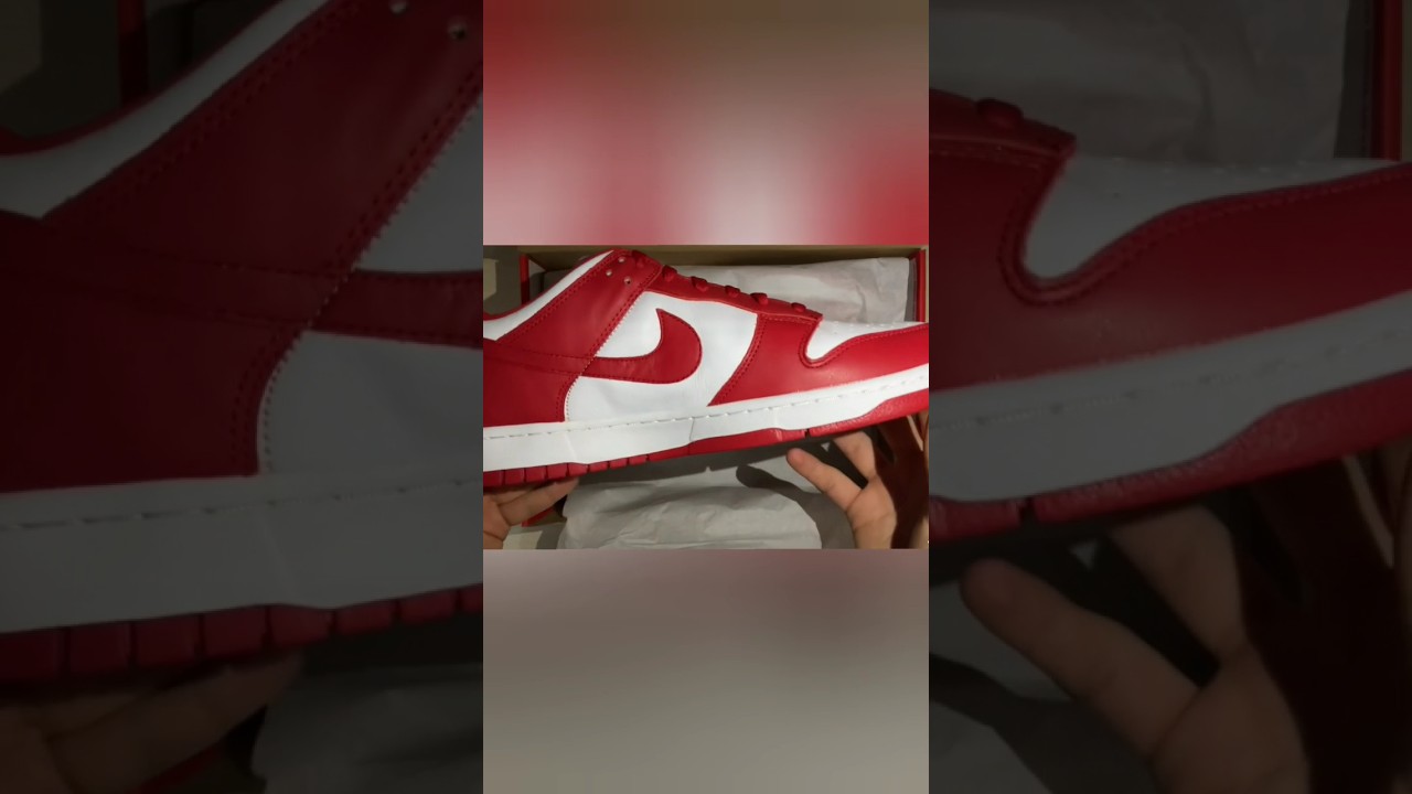 Dunk Low University Red 2020 🎒 