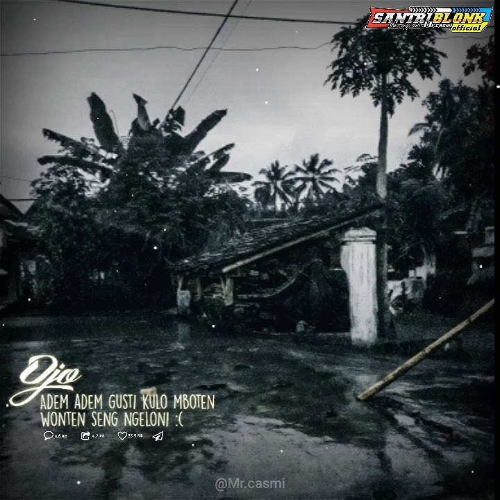 ojo adem adem gusti||STORY WA 30 detik