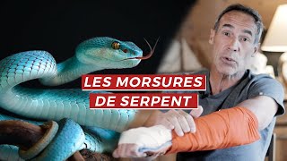 LES MORSURES DE SERPENT | MES BLESSURES #1