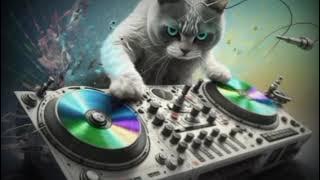 Wo De Xin Hao Leng - House Music Tahun 2000an