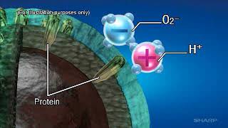 Sharp Mechanism for Plasmacluster Technology