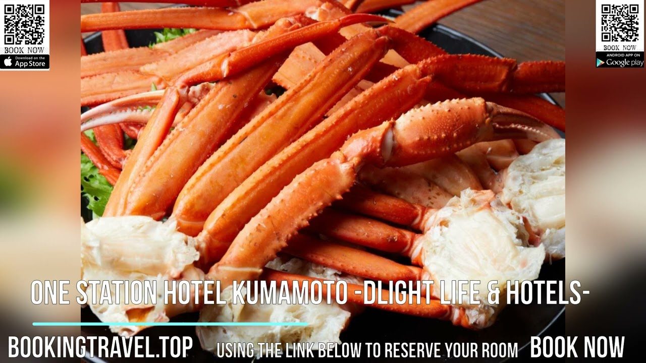 One Station Hotel Kumamoto  DLIGHT LIFE & HOTELS