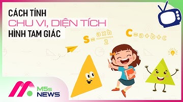 Cách tính chu vi, diện tích hình tam giác siêu dễ nhớ