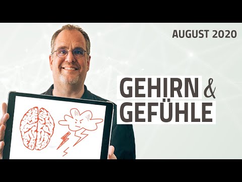 Video: Welcher Teil Des Gehirns Steuert Emotionen? Angst, Glück, Wut, Liebe