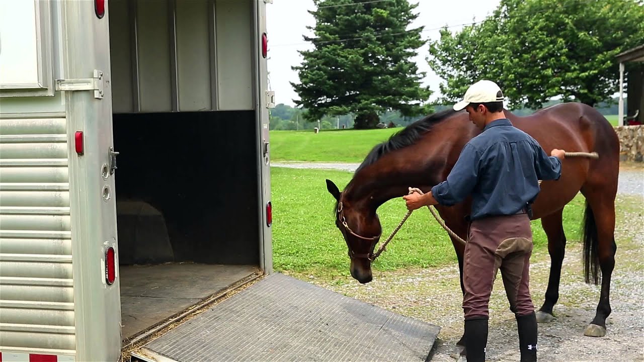 which side to travel horse in trailer