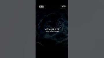 الشيخ محمد صديق المنشاوي .. سورة الزمر