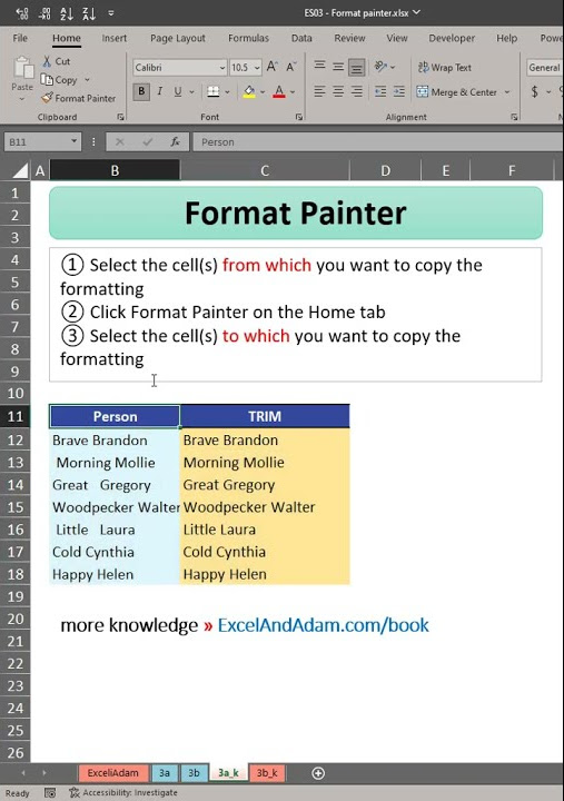 Excel - Format painter How to copy cell formatting | Excel in minute 03 ...