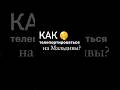 Подарите своему любимому человек Мальдивы! #мальдивы #путешествия #подарок #подароклюбимой