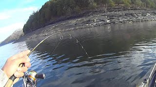 Kayak Fishing for Smallmouth Bass on Dale Hollow Lake