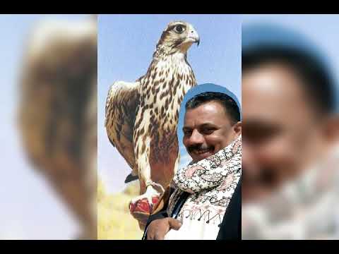 عائلة ابوغنيمة في كل مكان 3