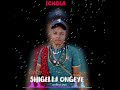 SHIGELLA ONGEYE ICHOLA MS Records 