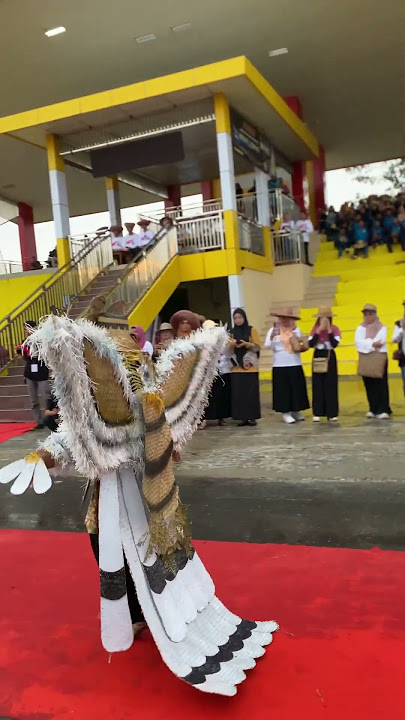 Costum burung enggang kalimantan