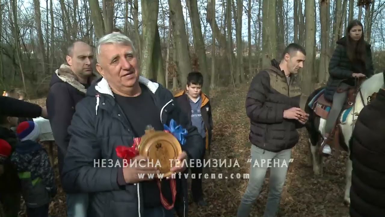 Tradicionalno sječenje badnjaka u Velikoj Obarskoj
