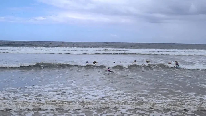 SummerSurfSeries Victoria - Nipper Board
